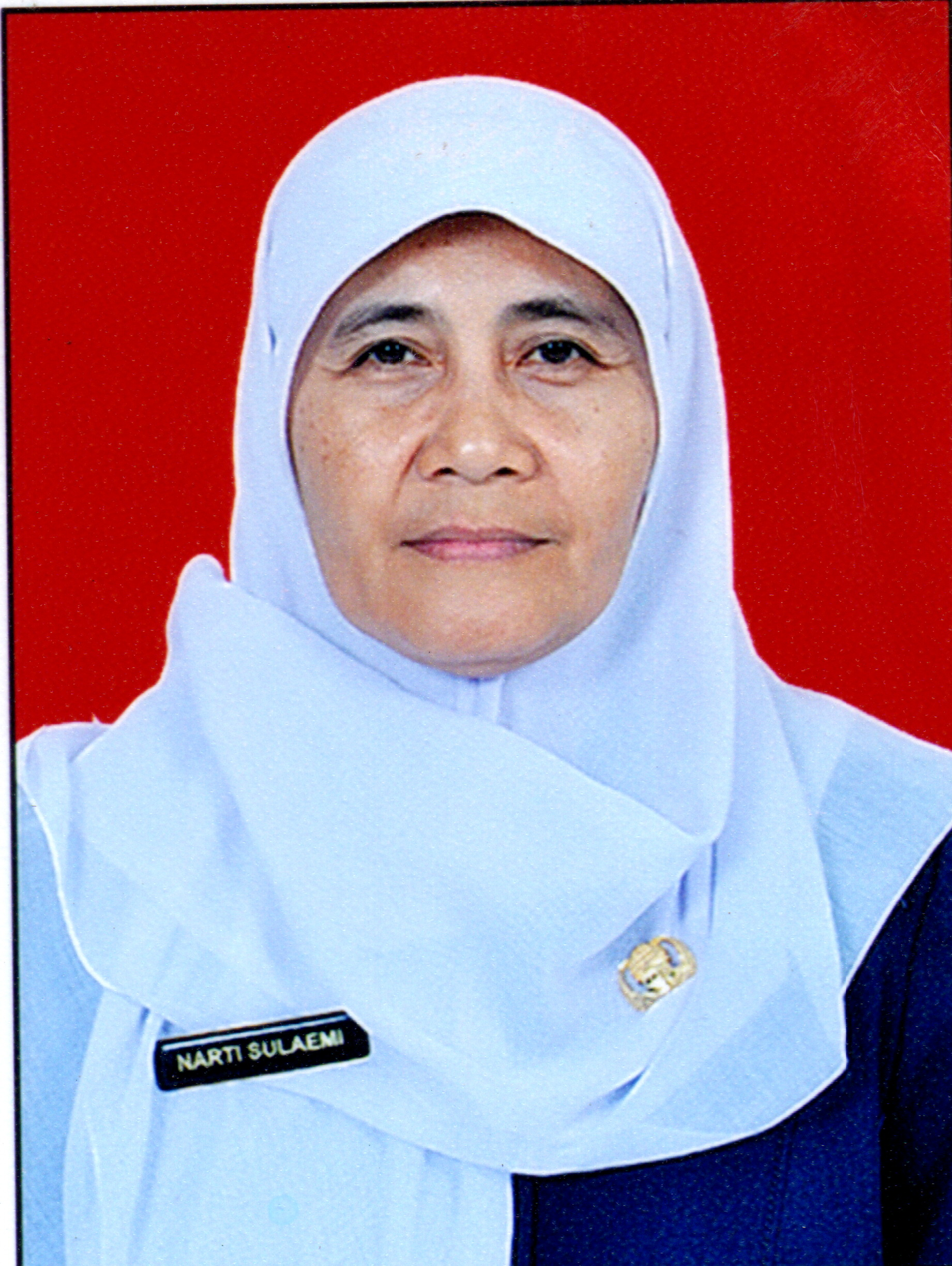 Ir. Narti Sulaemi